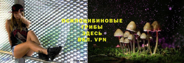 дурь Абаза
