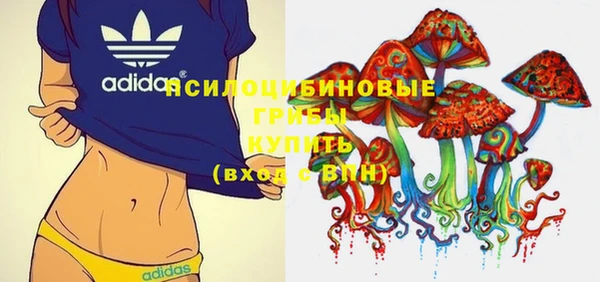 дурь Абаза