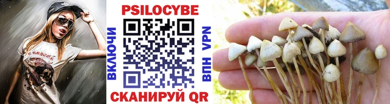 где продают   Звенигород  hydra ТОР  Псилоцибиновые грибы прущие грибы 